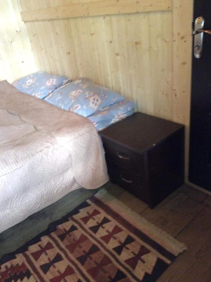 Gunter Guest House Adishi エクステリア 写真